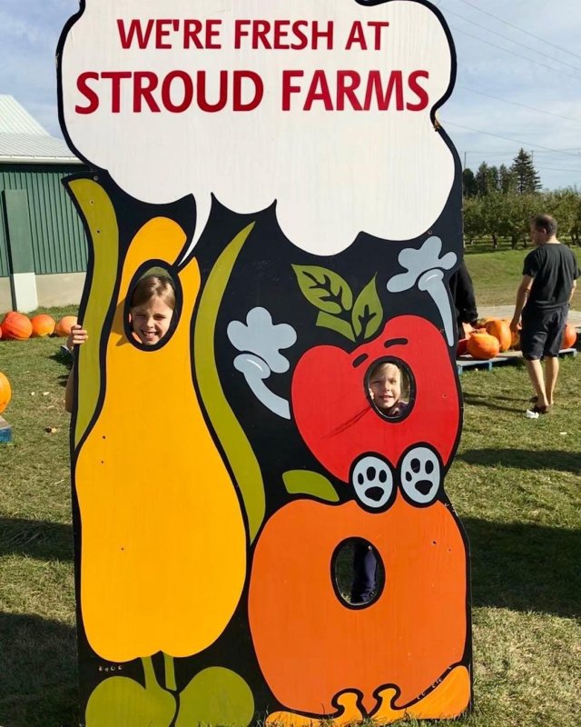 /2017/picking/image0