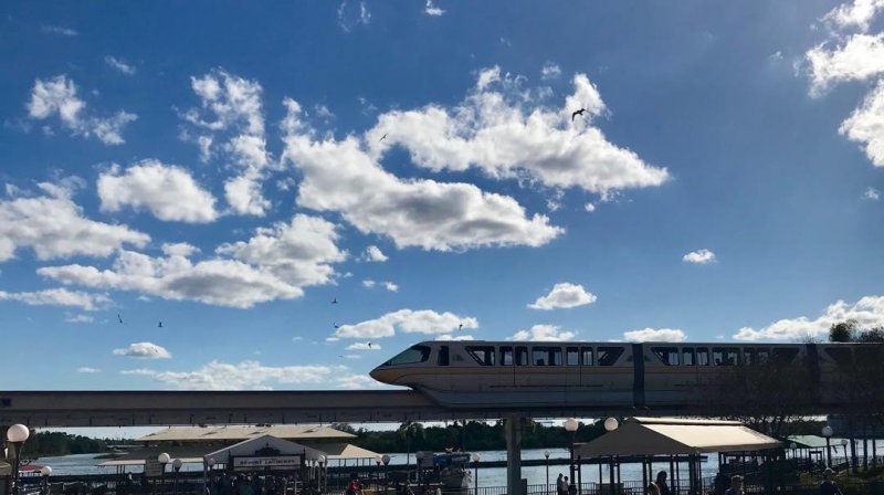 /2019/mono-doh/image0