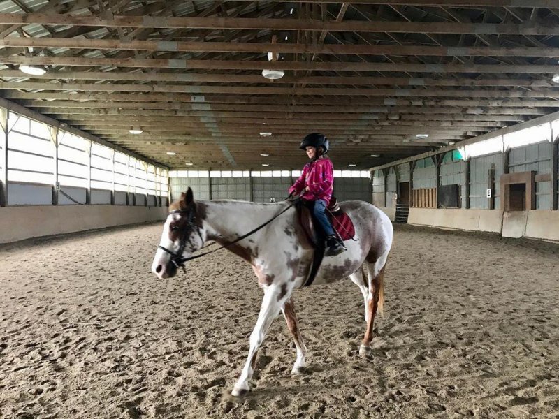 /2019/untitled-11/image0