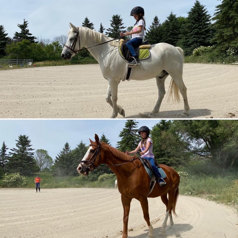 /2020/back-in-the-saddle/image0