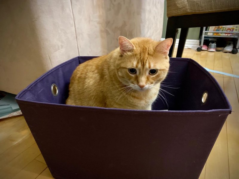 /2020/if-i-fits-i-sits/image0