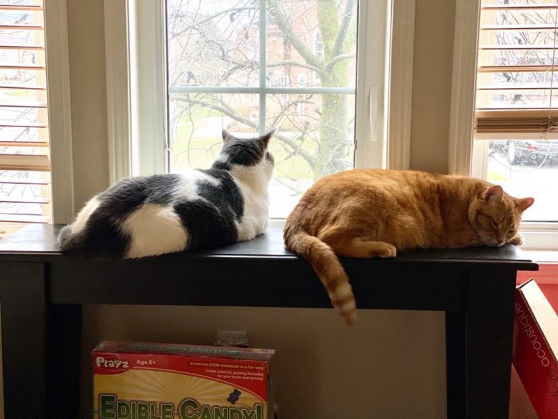 /2020/keeping-watch/image0