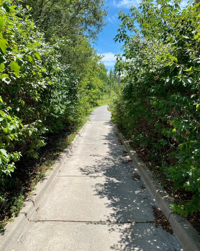 /2020/untitled-16/image0