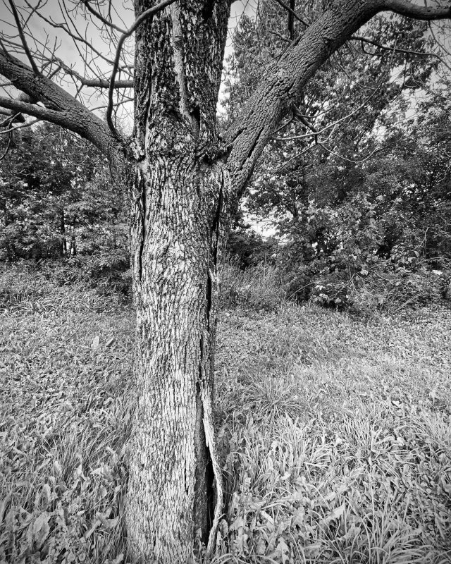 /2020/untitled-17/image0