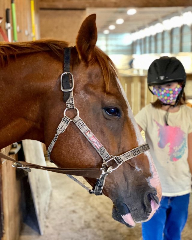 /2020/zoey-got-to-ride-her-favourite-horse-today-horsebackriding-shotoniphone/image0